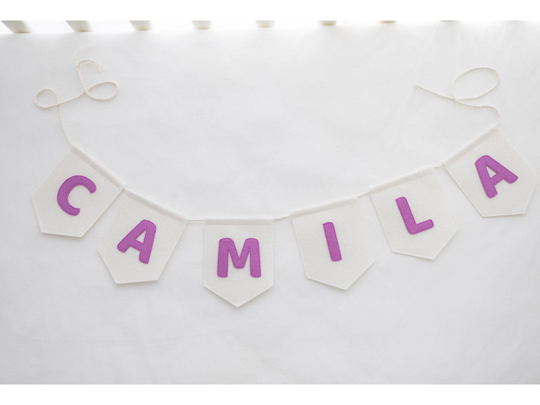 Personalized name bunting, custom name banner, birthday banner, nursery, children's room decor, baby shower banner,Felt Hanging Banner